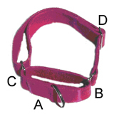 photo of collar for sizing reference